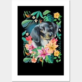 Tropical Black Tan Dachshund Doxie 1 Posters and Art